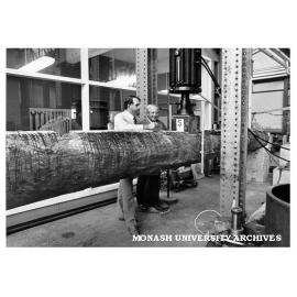 Professor Noel Murray and technician Henry Puszka examining log for signs of strain