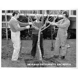 Curator John Cranwell, and grounds staff planting Newton Apple tree