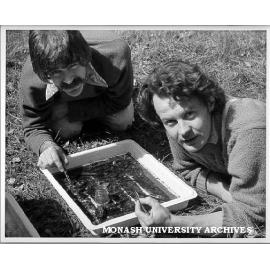 Research assistant Graham Bird and student from Rusden, sorting insects