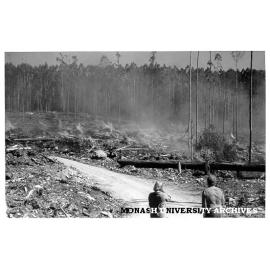 Public history students viewing controlled burn at logging site in Thomson Valley