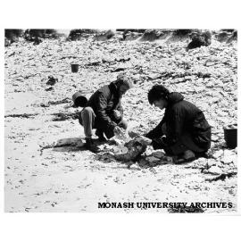 Lesley Head and colleague working on palaeoenvironmental study at Discovery Bay