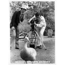Film director Yoshihisa Kubota, and cameraman Hidemro Goto with Cape Barren goose in Jock Marshall Reserve
