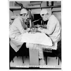 Mr David Scott and Mr Ken Myers, performing bench surgery, Prince Henry's Hospital
