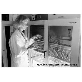 Mrs Joanne Paddle-Ledinek working with skin cultures, department of Surgery, Alfred Hospital