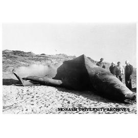 Engineers examining ruptured Moomba gas pipeline