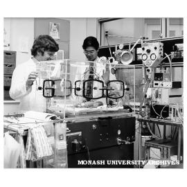 Dr John Maloney (left) and Dr Victor Yu monitoring progress of a baby