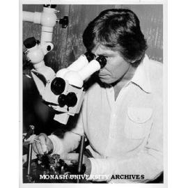 Dr Richard Mark at dissecting microscope