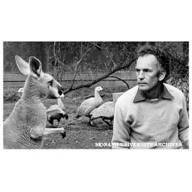 Senior lecturer in Physiology Dr Uwe Proske with kangaroo in Jock Marshall reserve