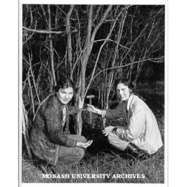 Research assistant Sue Costain (left) and botanist Dr Ann Lawrie studying nodule systems in native plants