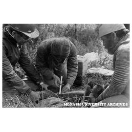 Research team investigating Phillip Island koalas. Physiologist Kath Lithgow (centre), Associate Professor Tony Lee (Zoology, left) and senior technical officer Roger Martin (Zoology)