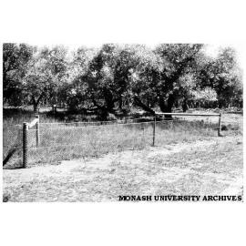 Plot fenced off from kangaroos at Hattah-Kulkyne