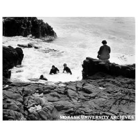 Diving for kelp on King Island