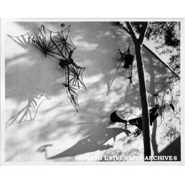 Clifton Pugh's 'Flying Foxes' on wall of Zoology lecture theatres