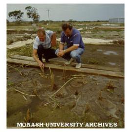 Planting of reeds for sewage treatment. Tom Davies from Chisholm Water Studies Centre (left) with Rex Brown from Mornington Peninsula and District Water Board