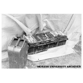 Burnt out batteries of Desert Cat