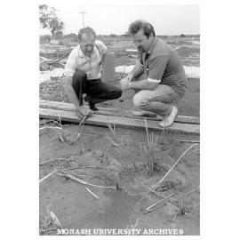Planting of reeds for sewage treatment. Tom Davies from Chisholm Water Studies Centre (left) with Rex Brown from Mornington Peninsula and District Water Board