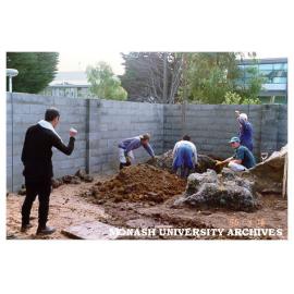 Placement of rocks for Japanese Garden