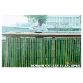 Cutting tiles for roof of Kenninji style fence, Japanese Garden