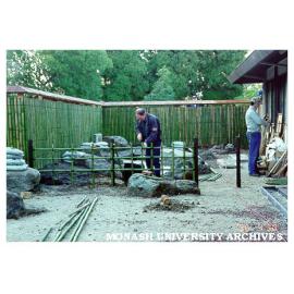 Constructing Yotsume style fence, Japanese Garden