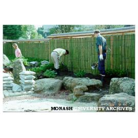 Planting azaleas, Japanese Garden