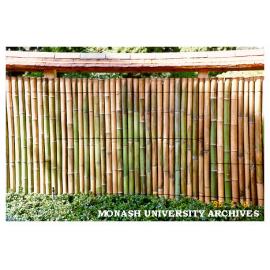 Kenninji style fence, Japanese Garden