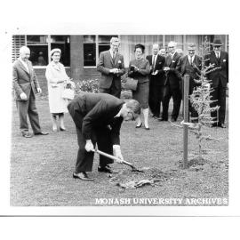 Mr W. H. Connolly planting atlantic spruce outside the Harper Laboratory, in the Engineering Courtyard.