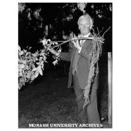 Curator John Cranwell with sapling torn up by vandals