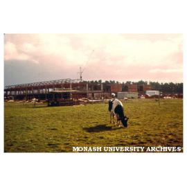 Engineering buildings viewed from south-east (with cow in foreground)