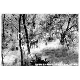 Jock Marshall reserve