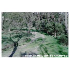 Jock Marshall reserve