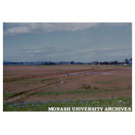 View of site looking east towards Dandenongs