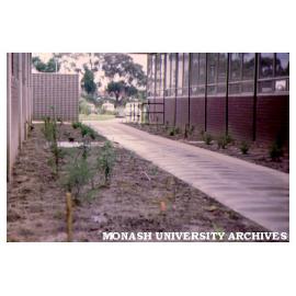 Garden outside Zoology building