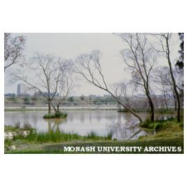 Snake Gully with Menzies building in background