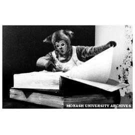 Scene from 'Possum Magic - the Musical'