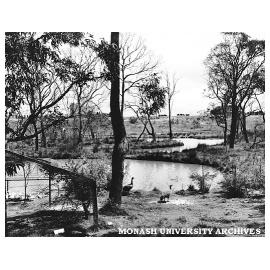 Wildlife in the Jock Marshall Reserve