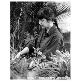 Dr Jenny Read checks Nothofagus plants at Monash University