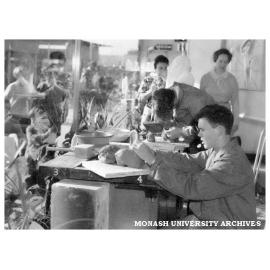Pottery display in Foy's window at Commonwealth Technical Training Week exhibition at Chadstone shopping centre.
