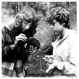 Second and third year Aquatic Science students on a field trip to Cement Creek