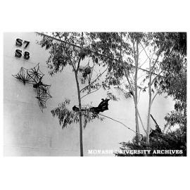 Clifton Pugh's 'Flying foxes' on wall of Science lecture theatres