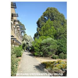 Garden between Faculty of Information Technology building and Engineering buildings