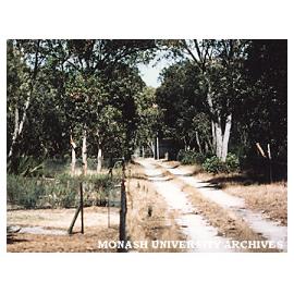 Jock Marshall Reserve at Clayton campus