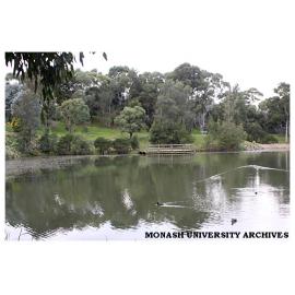 Clayton campus lake, looking north-east