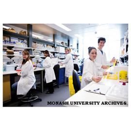 Postgraduate researchers at the Immunology and Stem Cell Laboratories, Clayton campus