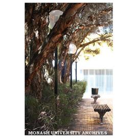 Courtyard gardens at Caulfield campus