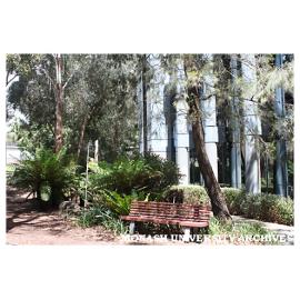 Grounds of Peninsula campus