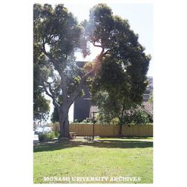 Grounds of Caulfield campus, Building J in the background