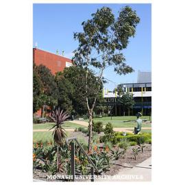 Caulfield campus central common