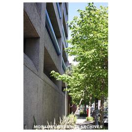 Building C Caulfield campus, from Sir John Monash Drive