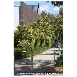 Footpath beside Engineering building (72), Clayton campus