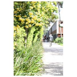 Footpath and gardens near Engineering building, Clayton campus.